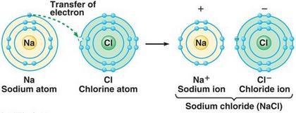 When a Na atom loses an electron to a Cl atom, the two atoms have opposite charges-example-1