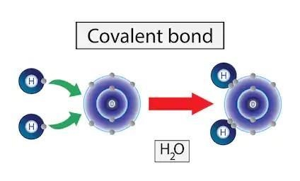 How would an electron shell model of an oxygen atom (O) appear after the atom has-example-1