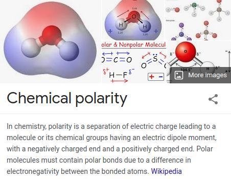 What is a polar molecule-example-1