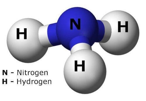 Which model represents a molecule of ammonia, NH3?-example-1