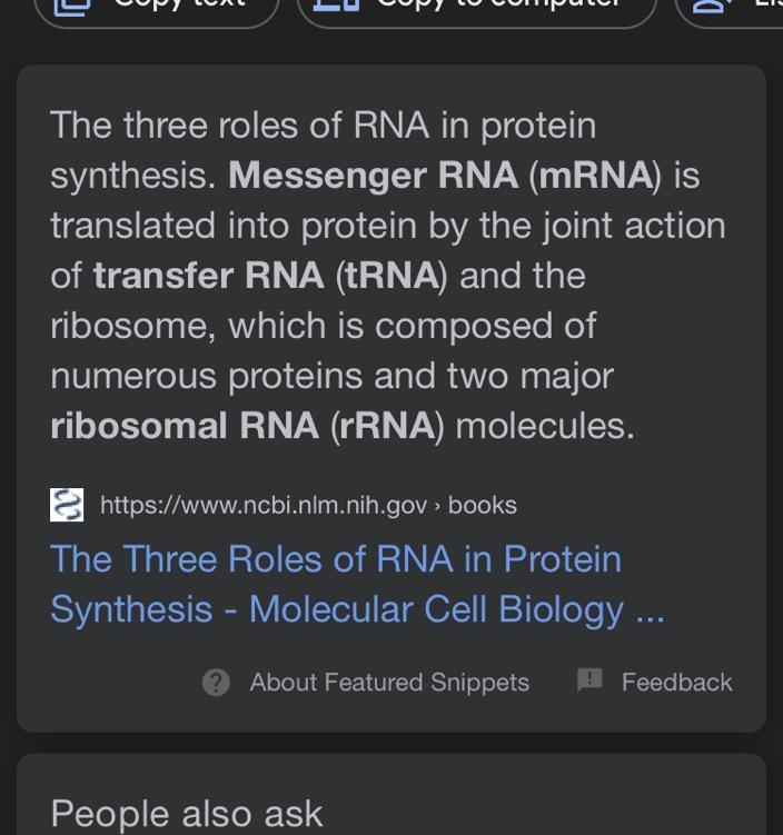 What are three types of RNA used during protein synthesis. What is the function of-example-1