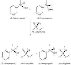 An acid-base reaction of (r)-sec-butylamine with a racemic mixture of 2-phenylpropanoic-example-1