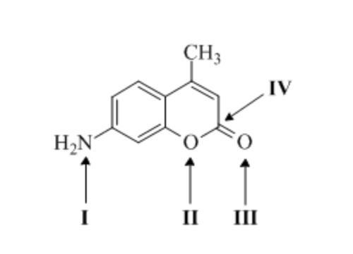 What is the total number of sp2-hybridized carbon atoms present in the fluorophore-example-1