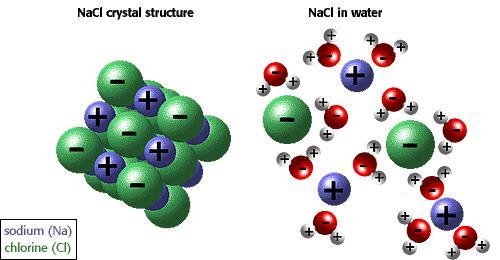 Alice added sodium chloride to water and stirred the water for several minutes. Alice-example-1