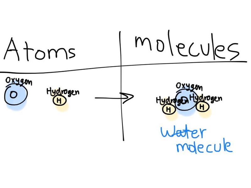 What is the difference between an atom and a molecule?-example-1