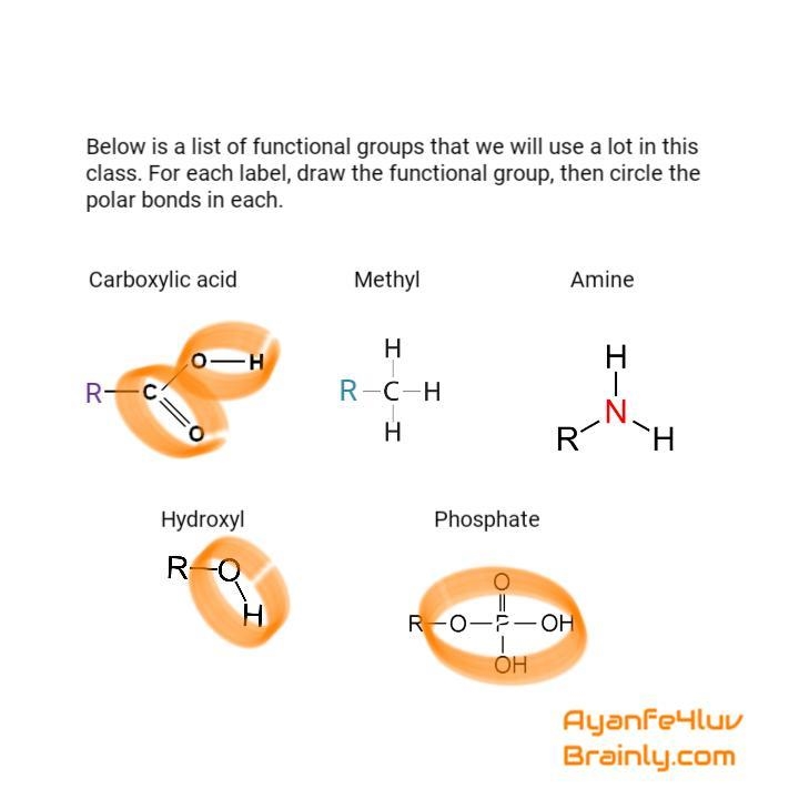 Below is a list of functional groups that we will use a lot in this class. For each-example-1