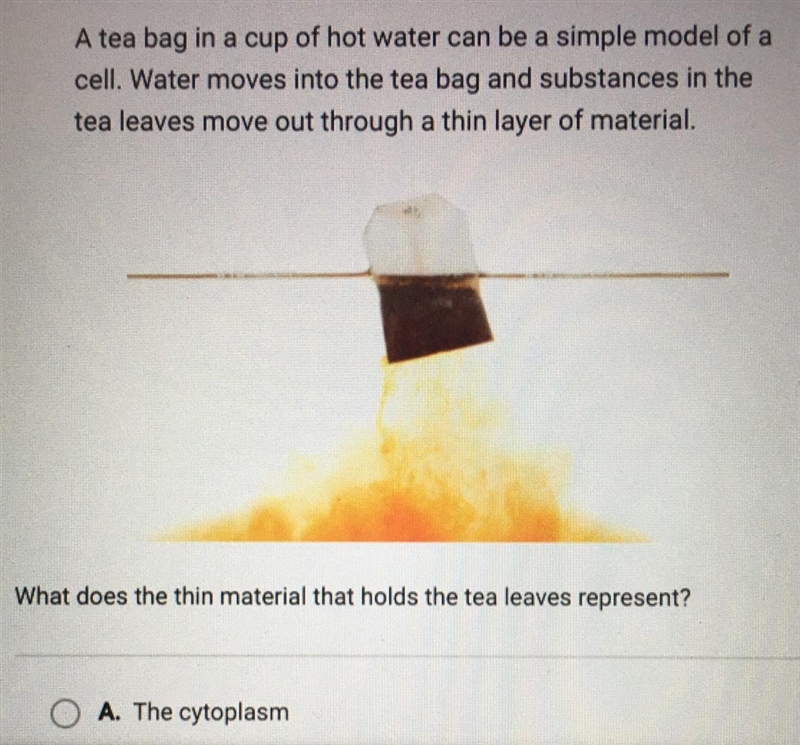 A tea bag in a cup of hot water can be a simple model of a cell. Water moves into-example-1