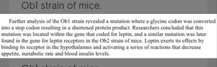 Leptin acts to prevent hypothalamic secretions of neuropeptide Y, a potent feeding-example-1