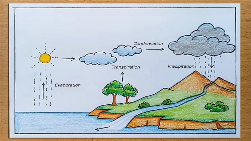 Once water vapor has been released into the atmosphere, it rises and cools, turning-example-1