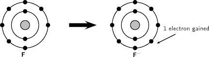 The fluorine ion, F, has one more electron than a neutral fluorine atom. a) How many-example-1