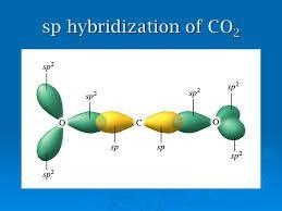 The molecule CO2 has two C-O double bonds. Describe the bonding in the CO2 molecule-example-1