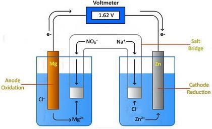 Design a voltaic cell using magnesium as one of the electrodes. Magnesium can be represented-example-1