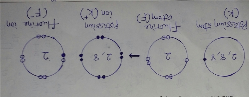 explain using diagrams how potassium forms the compound potassium flouride when it-example-1