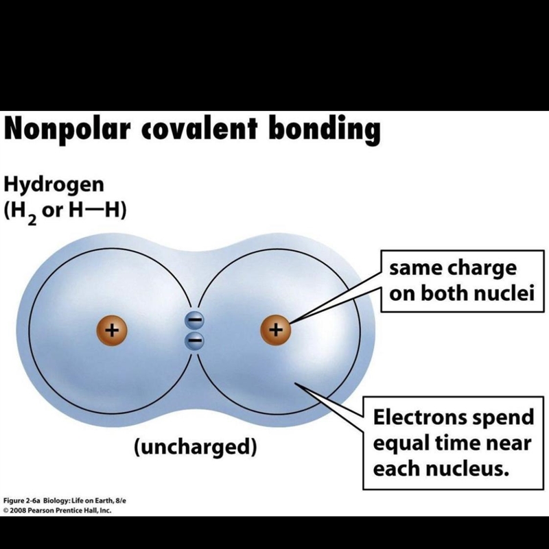 A picture of a no polar covalent-example-1