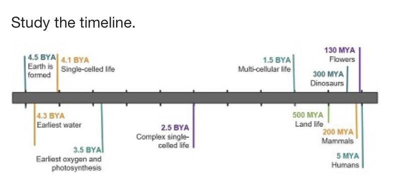 Study the timeline. A timeline. 4.5 billion years ago, Earth is formed. 4.3 billion-example-1