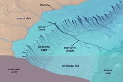 25. Which answer best describes the continental rise? area of land that drops toward-example-1