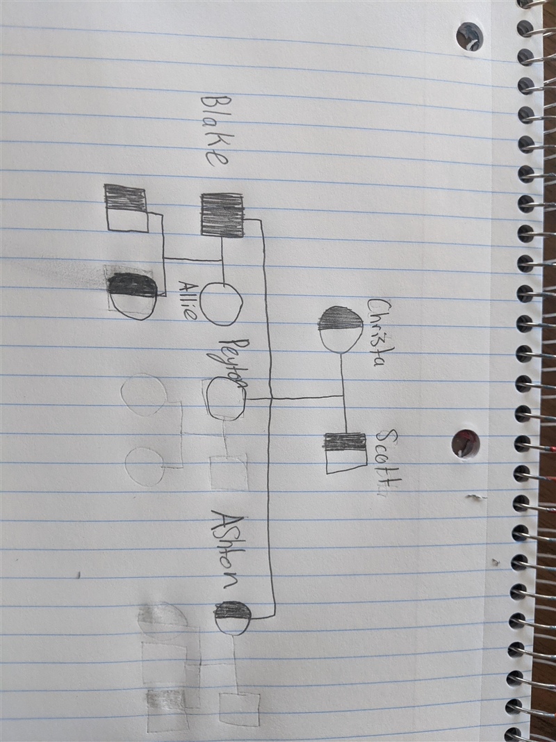 DRAW A PEDIGREE Read the following information and ON NOTEBOOK PAPER, construct a-example-1