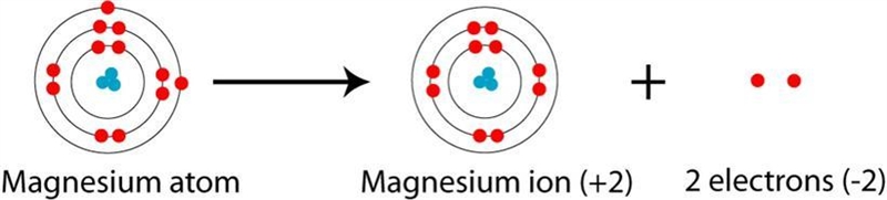 Explain the difference between Mg and Mg-2 Explain the difference between Cl and C-example-1