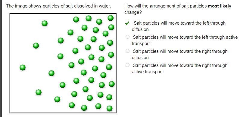 The image shows particles of salt dissolved in water. How will the arrangement of-example-1