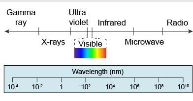 Which electromagnetic wave has the highest frequency? A) infrared B) microwaves C-example-1