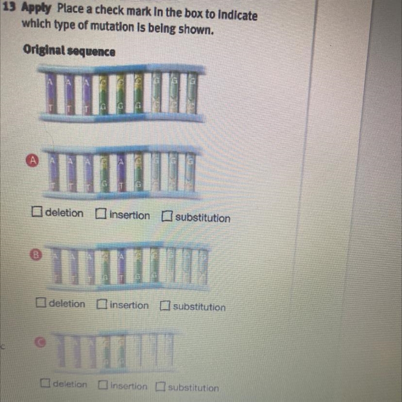 13 Apply Place a check mark in the box to indicate which type of mutation is being-example-1