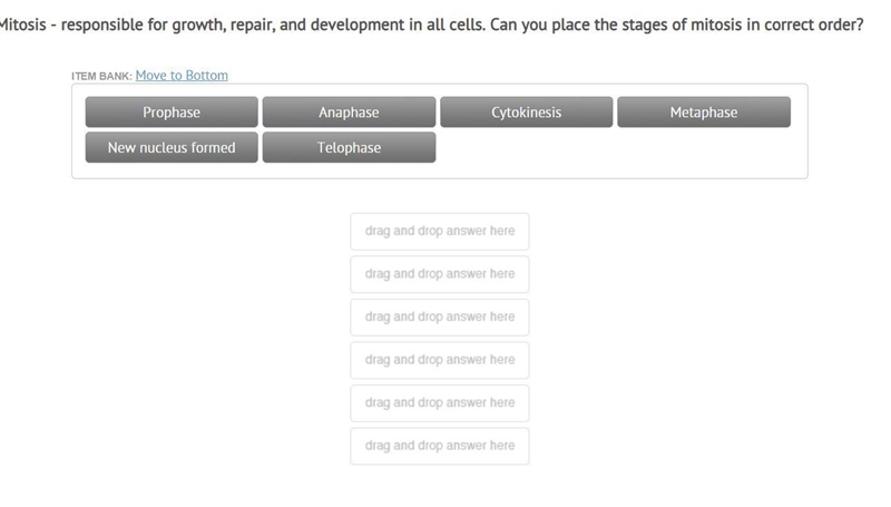 Stages of mitosis in order-example-1