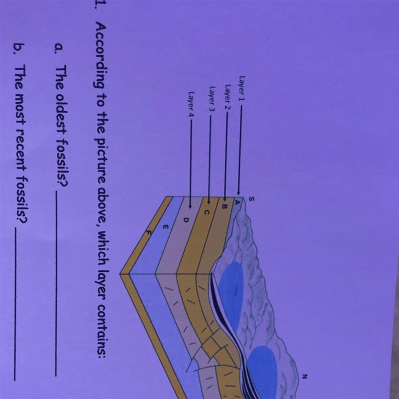 According to the picture above, which layer contains :-example-1