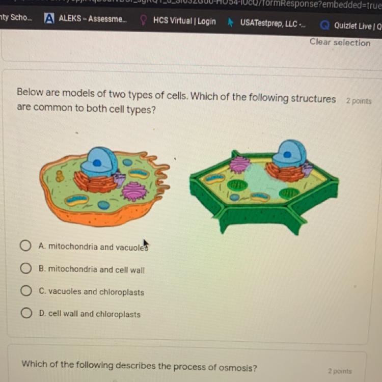 Below are models of two types of cells. Which of the following structures 2 points-example-1