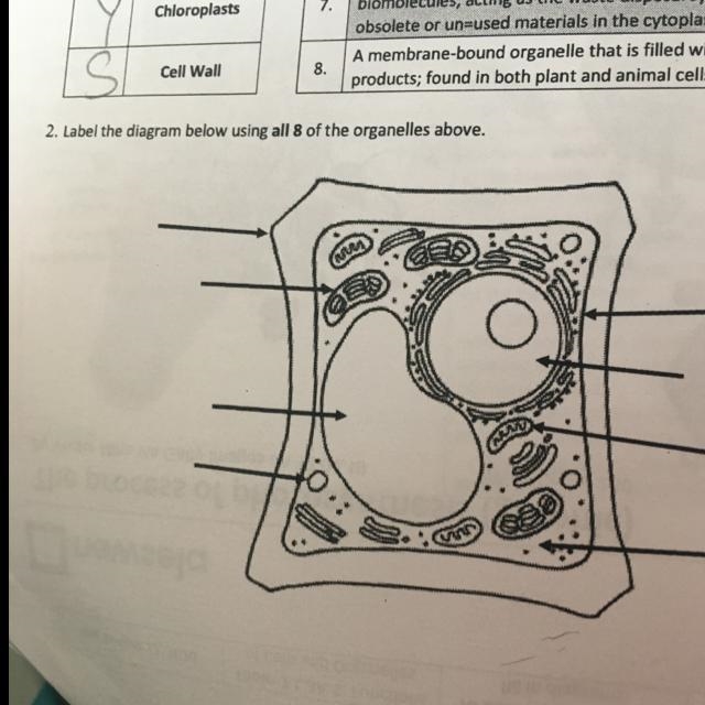 Can you help on what to label on this diagram?-example-1