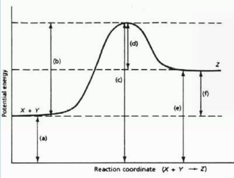 Which letter (a-f) represents heat of reaction (∆HRxn) of the reverse reaction? Which-example-1