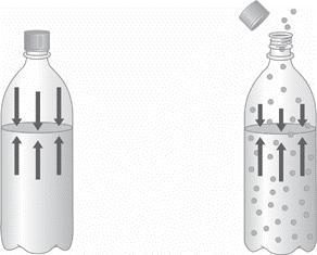 1.) Describe the two diagrams of a bottled carbonated beverage shown below as greater-example-1