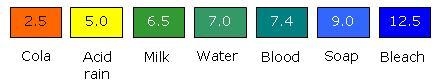 Barbara completed an assignment for extra credit in science class. She used a pH meter-example-1