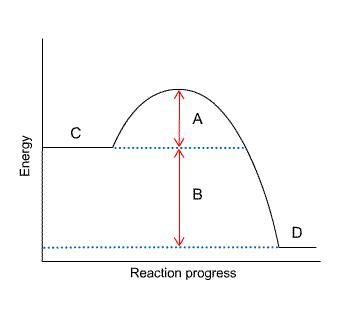 In the diagram, which letter is altered by a catalyst? A B C D-example-1