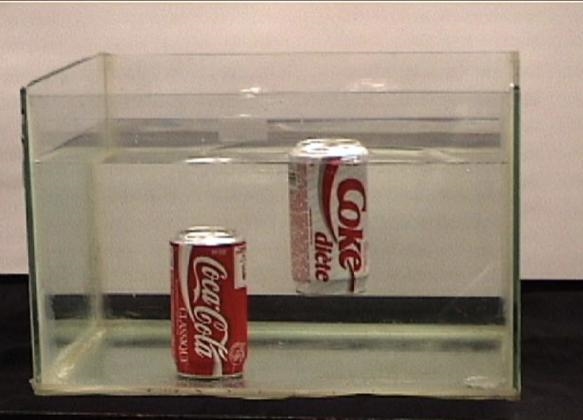 2. Guiding question: Why does the coke can sink, while the diet float?-example-1