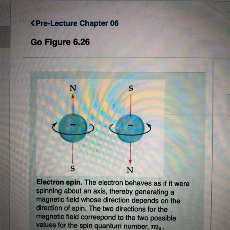 From this figure, why are there only two possible values for the spin quantum number-example-1