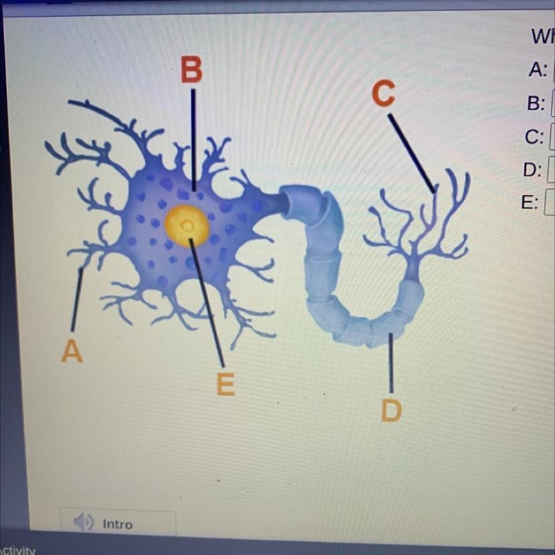 What is the name of each labeled part?-example-1