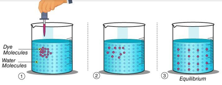 What is the name of the process shown in the above picture? A intercellular communication-example-1