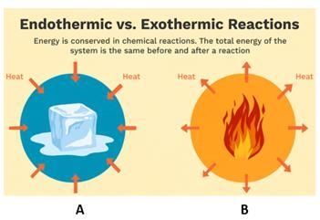 There are two types of physical changes and chemical reactions- endothermic and exothermic-example-1