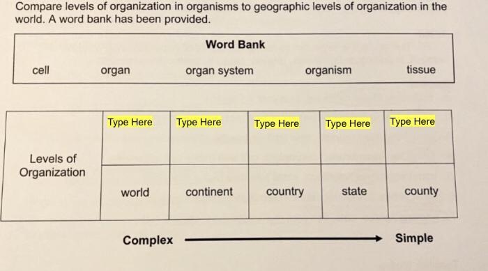 My teacher gave this assignment for homework, and I don’t get it. A little help please-example-1