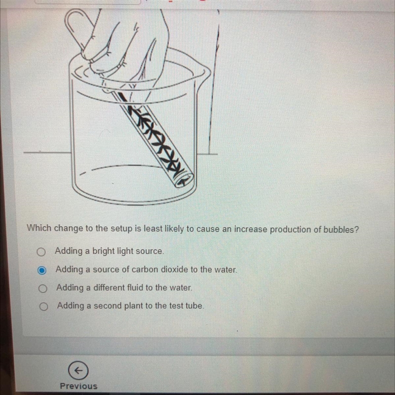 I NEED HELP RN 40 POINTS-example-1