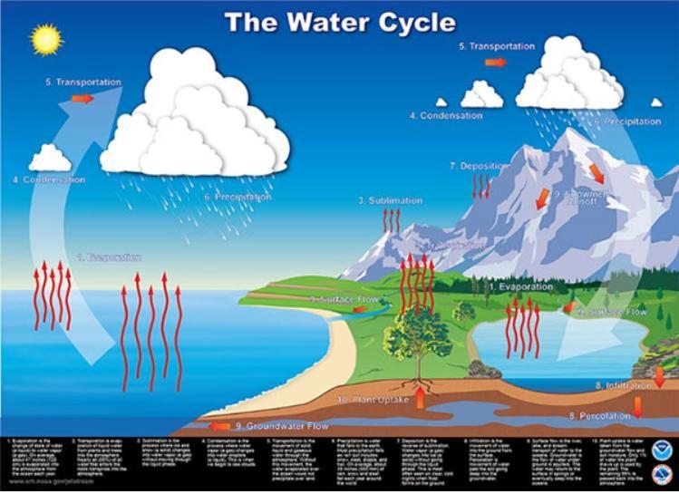 Is this a scientific model? Use complete sentences to explain why or why not. (5 points-example-1