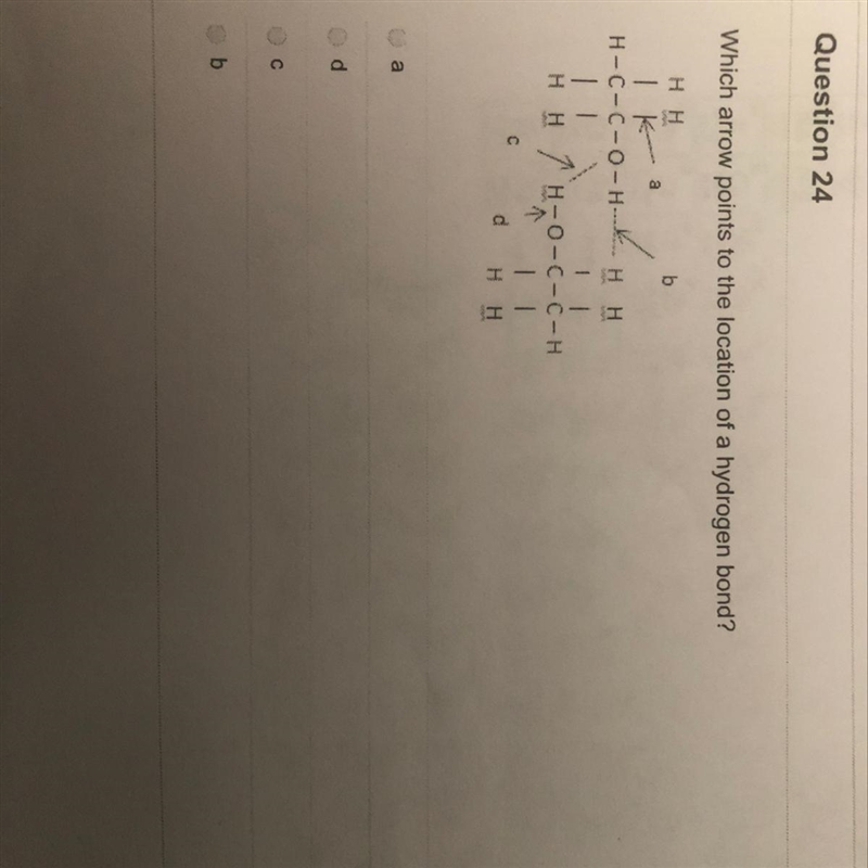 Which arrow points to the location of a hydrogen bond? A. A B. D C. C D. B-example-1