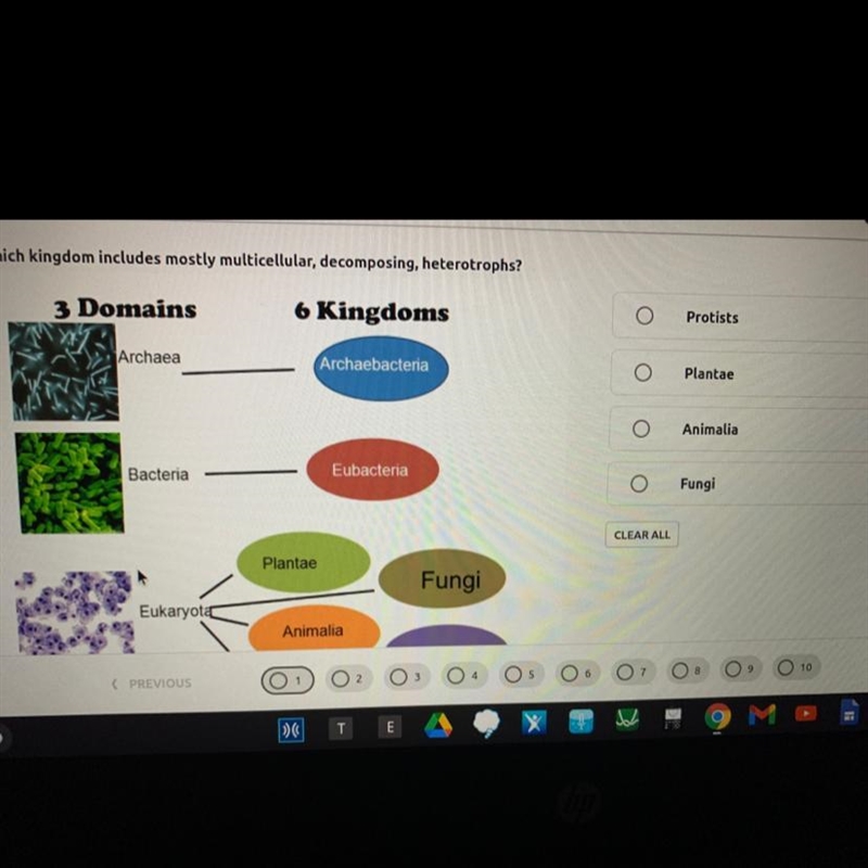 I need help on this question really bad-example-1