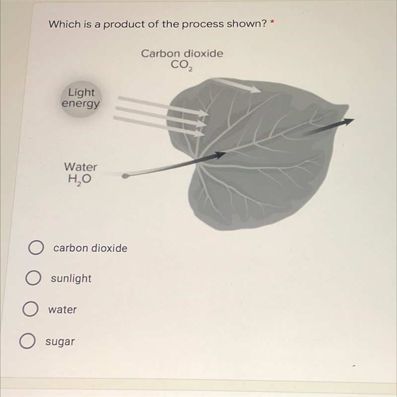 Please help meee Which is a product of the process shown?-example-1