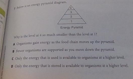 Please Help Me!! I Can't Figure Out Number 7.-example-1