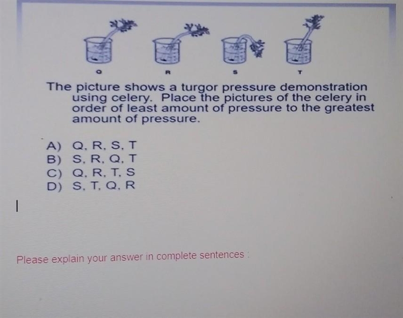 20 POINTS 7th garde science ​-example-1