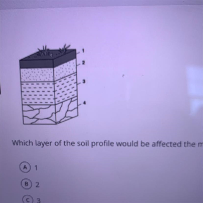 Which layer of the soil profile would be affected the most by weathering and erosion-example-1