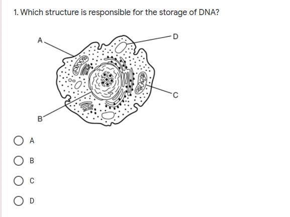 Need help with this before 10 please do it asap no rush-example-1