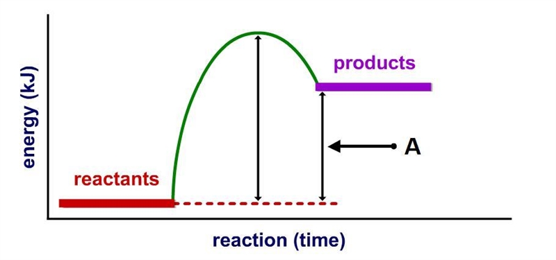 What is indicated by 'A' in the figure below? A. -VE B. +Ea C. -Ea D. +VE-example-1