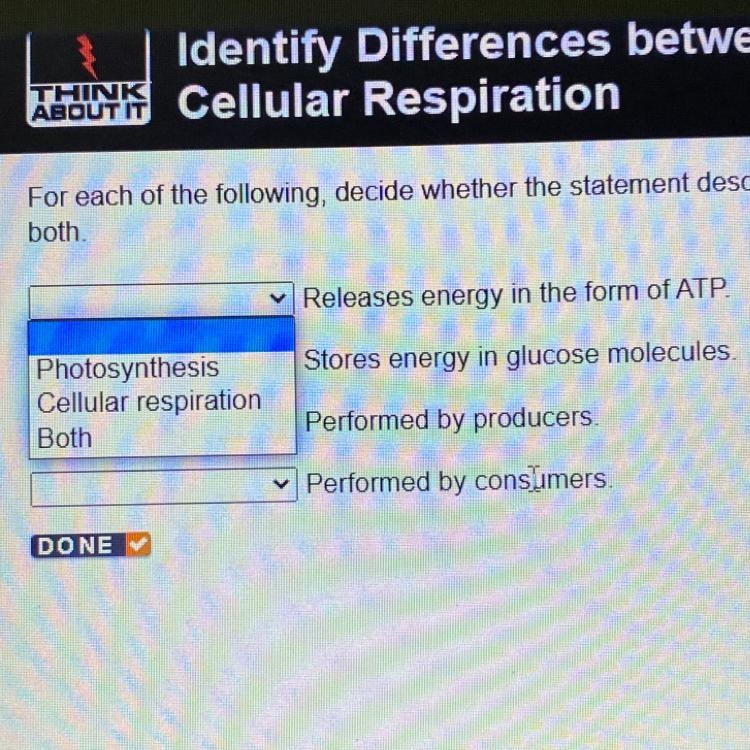 Releases energy in the form of ATP Stores energy in glucose molecules. Perfomed by-example-1